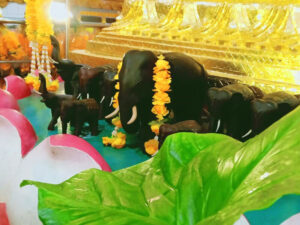 Blessing Elephant